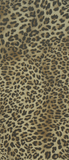 Mini Skin on Fossil Knee Highs