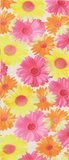 Island Daisy Tweener Knee Highs