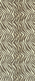 Brown Zebra Tweener Knee Highs