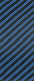 Bias Stripe on Cadet Knee Highs