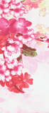 Cherry Blossoms Knee Highs