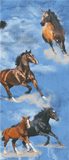 Denim Horses Tweener Knee Highs