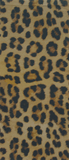 Jaguar on Taupe Knee Highs