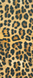 Jaguar Anklets